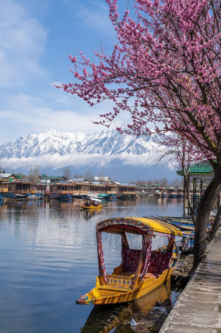 Kashmir Tour Package from Hyderabad  4 Nights 5 Days